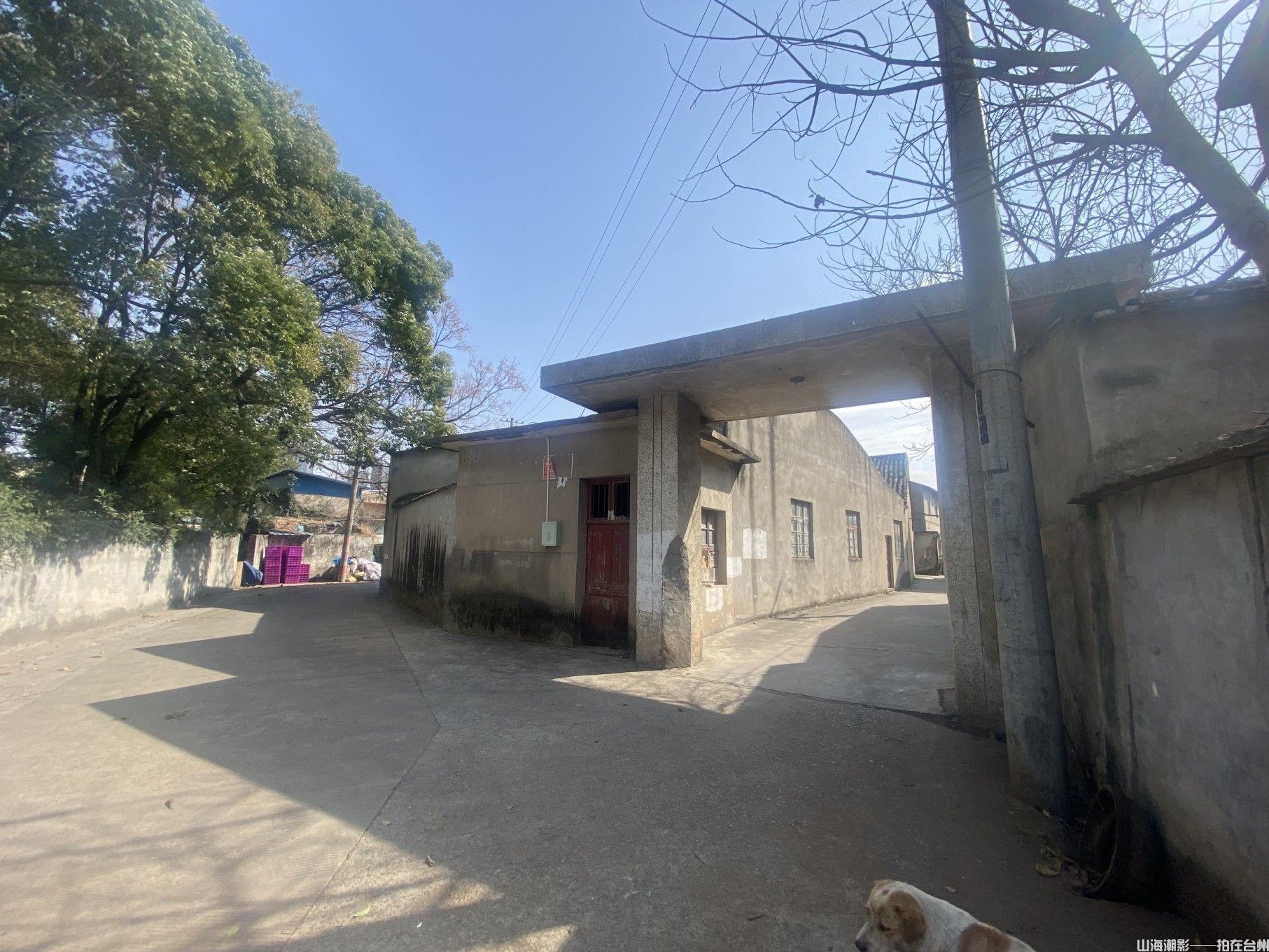 椒江葭沚街道东山头村，台州影视创作的自然美学与人文新地标(图14)