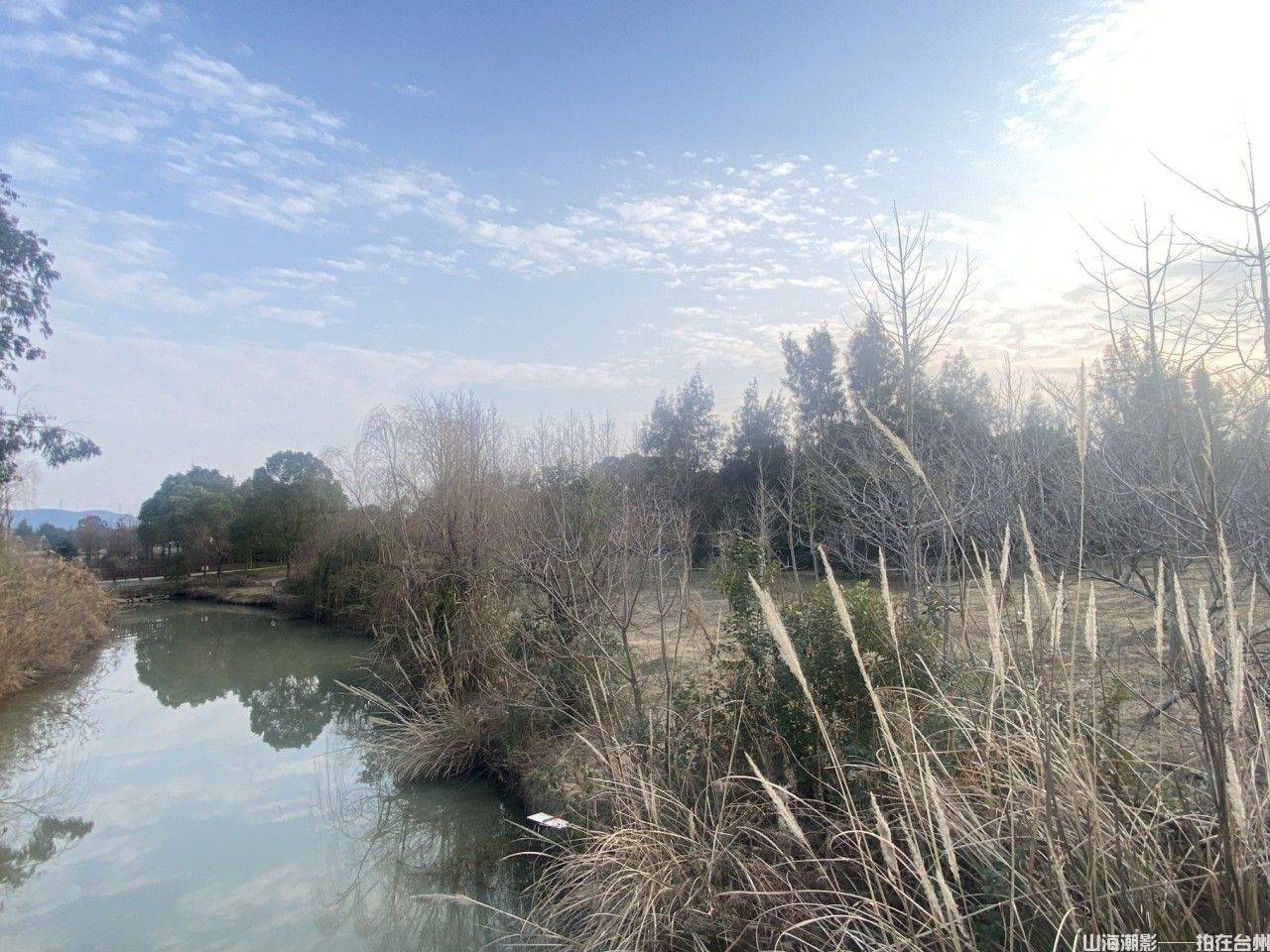 三门农博园影视基地：天然影棚与产业融合的典范(图9)