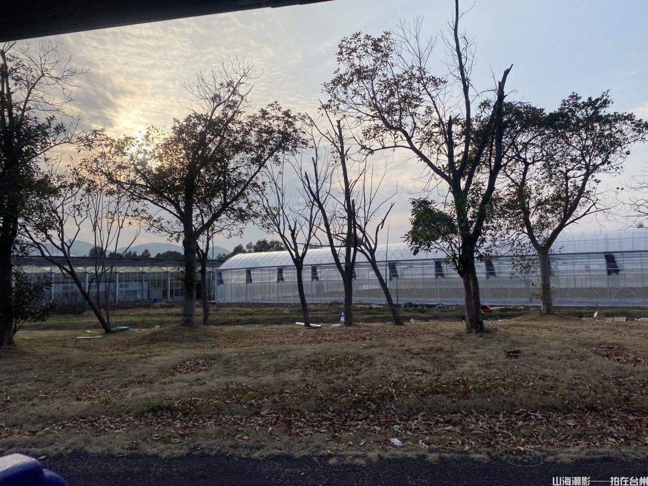 三门农博园影视基地：天然影棚与产业融合的典范(图8)