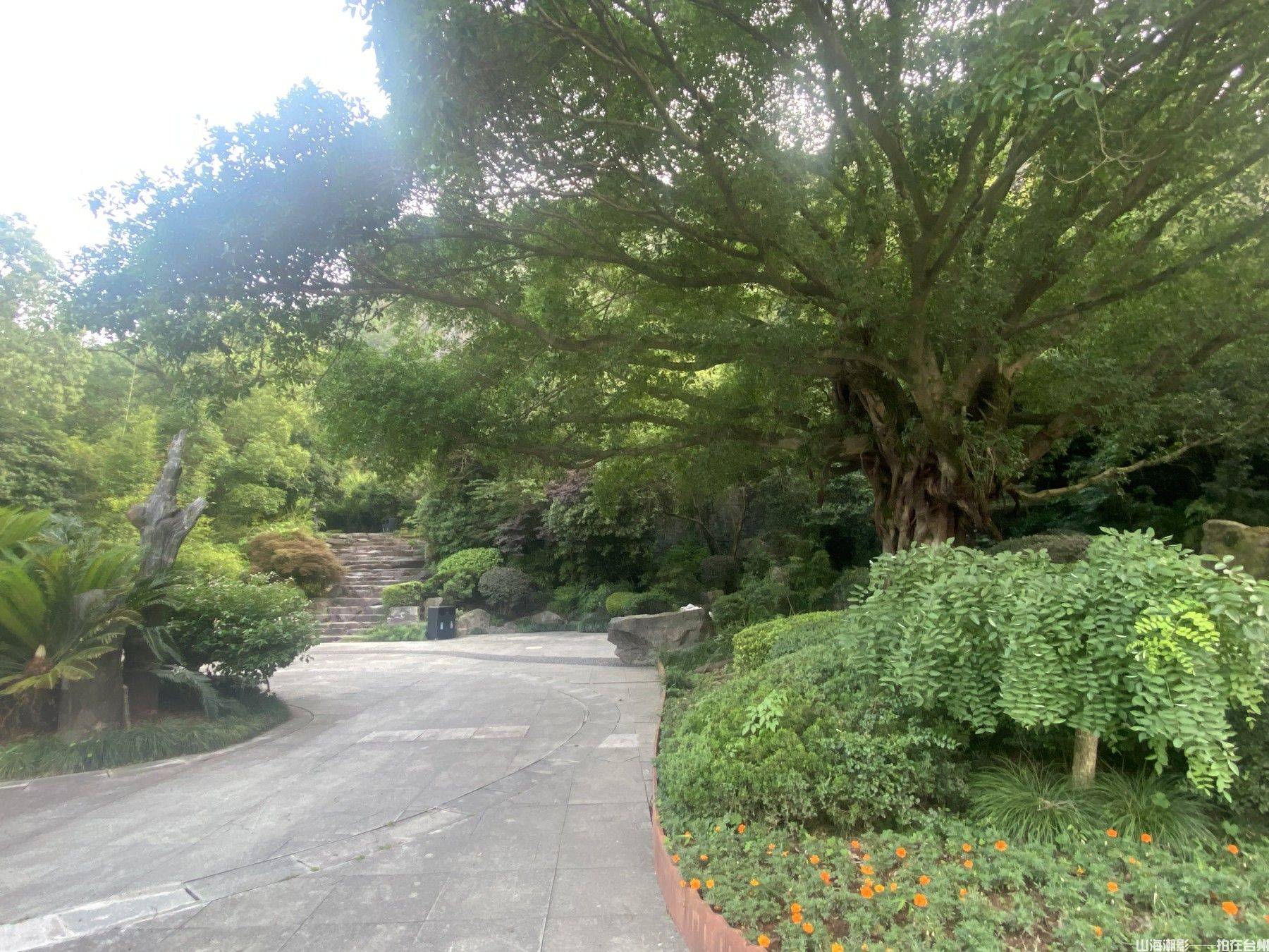 台州白云山:天然的影视外景胜地(图5) 椒江白云山:城市绿心的影视新视野(图5)