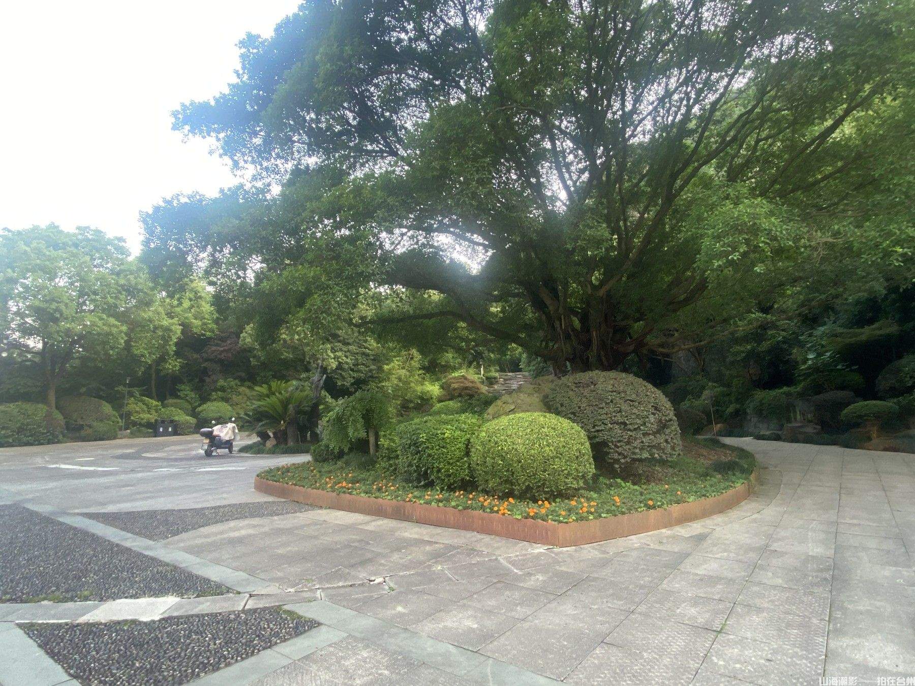 台州白云山:天然的影视外景胜地(图4) 椒江白云山:城市绿心的影视新视野(图4)