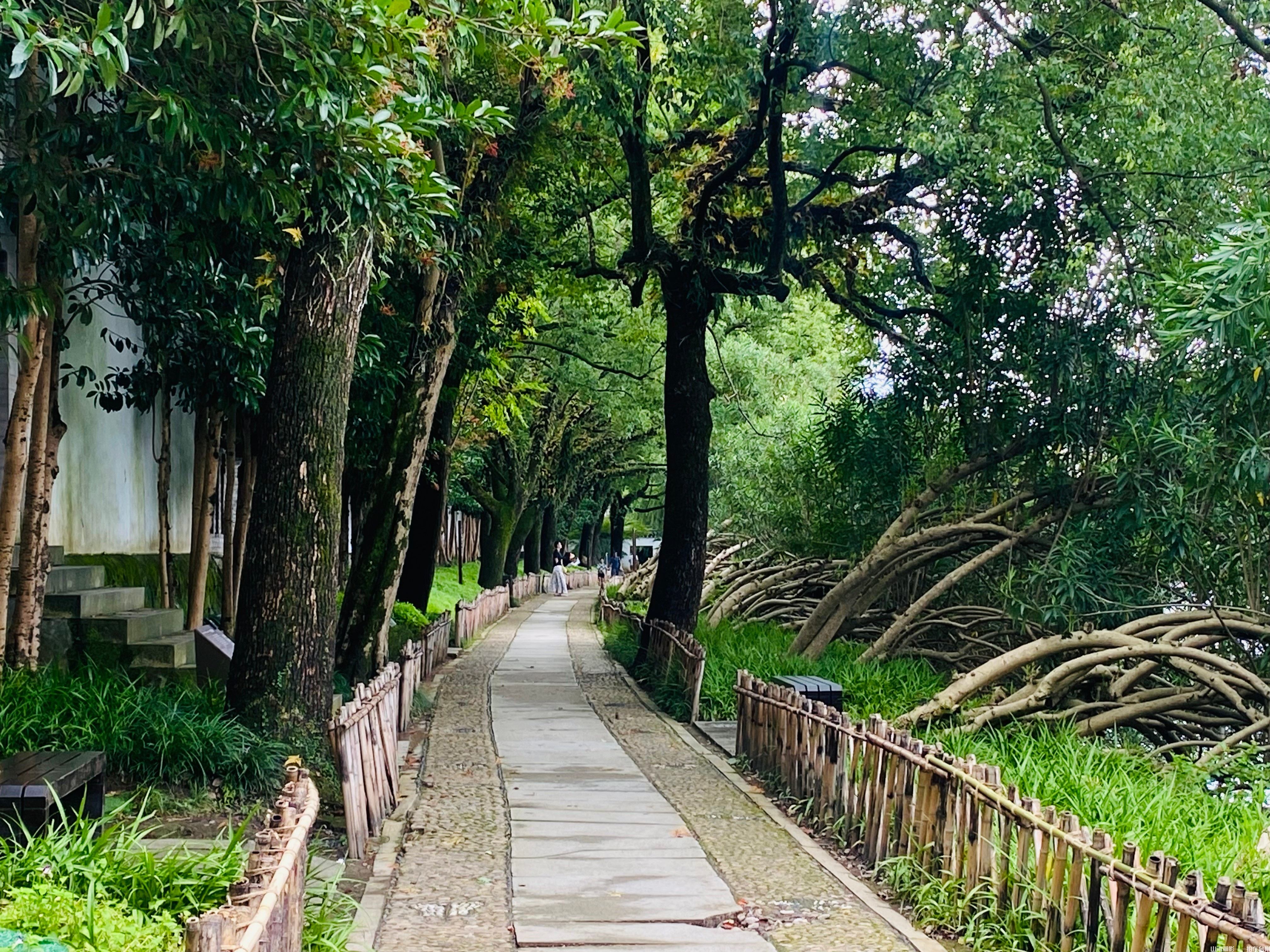 临海东湖：江南诗画境，园林光影梦工场(图13)