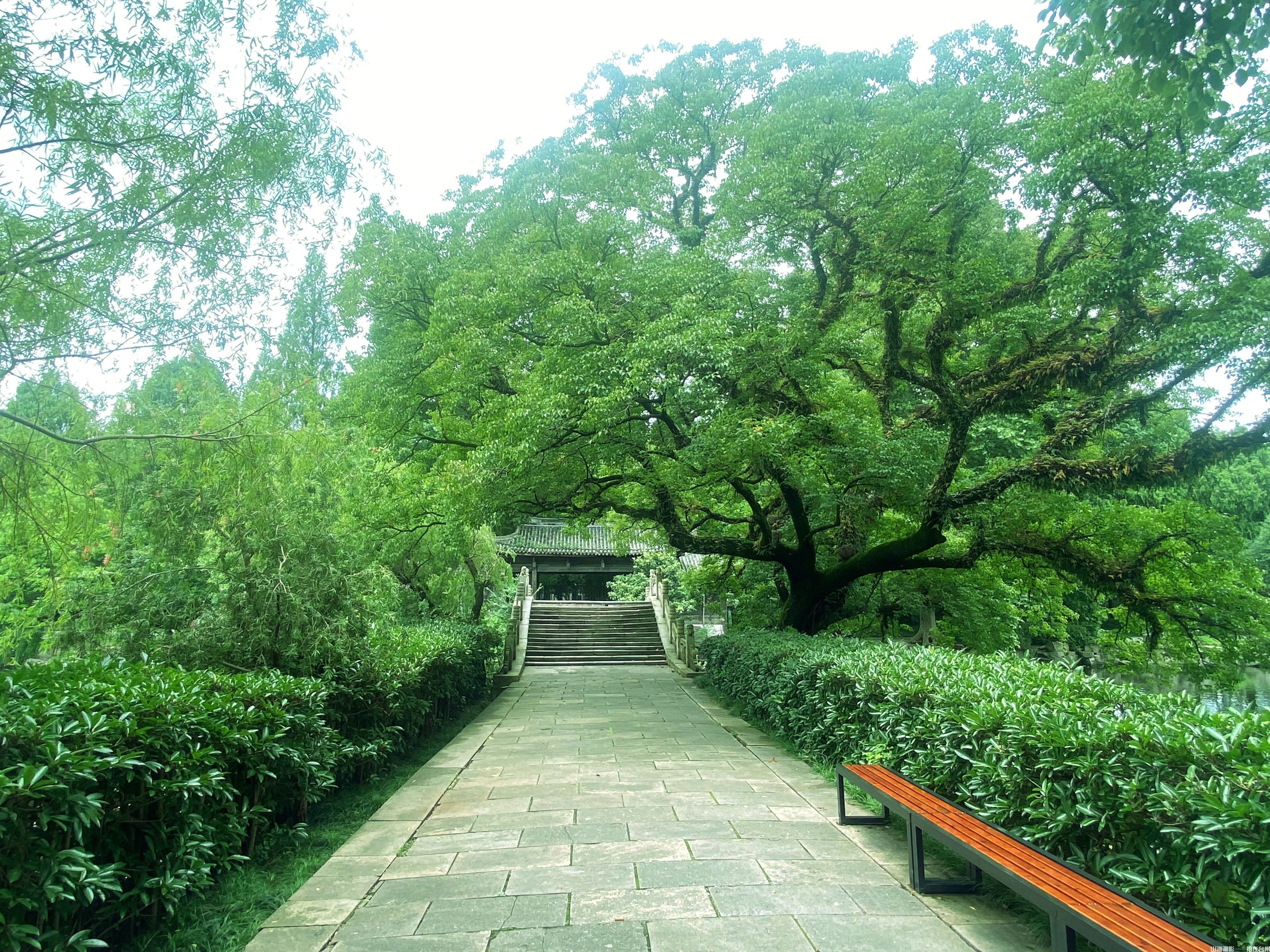 临海东湖：江南诗画境，园林光影梦工场(图18)