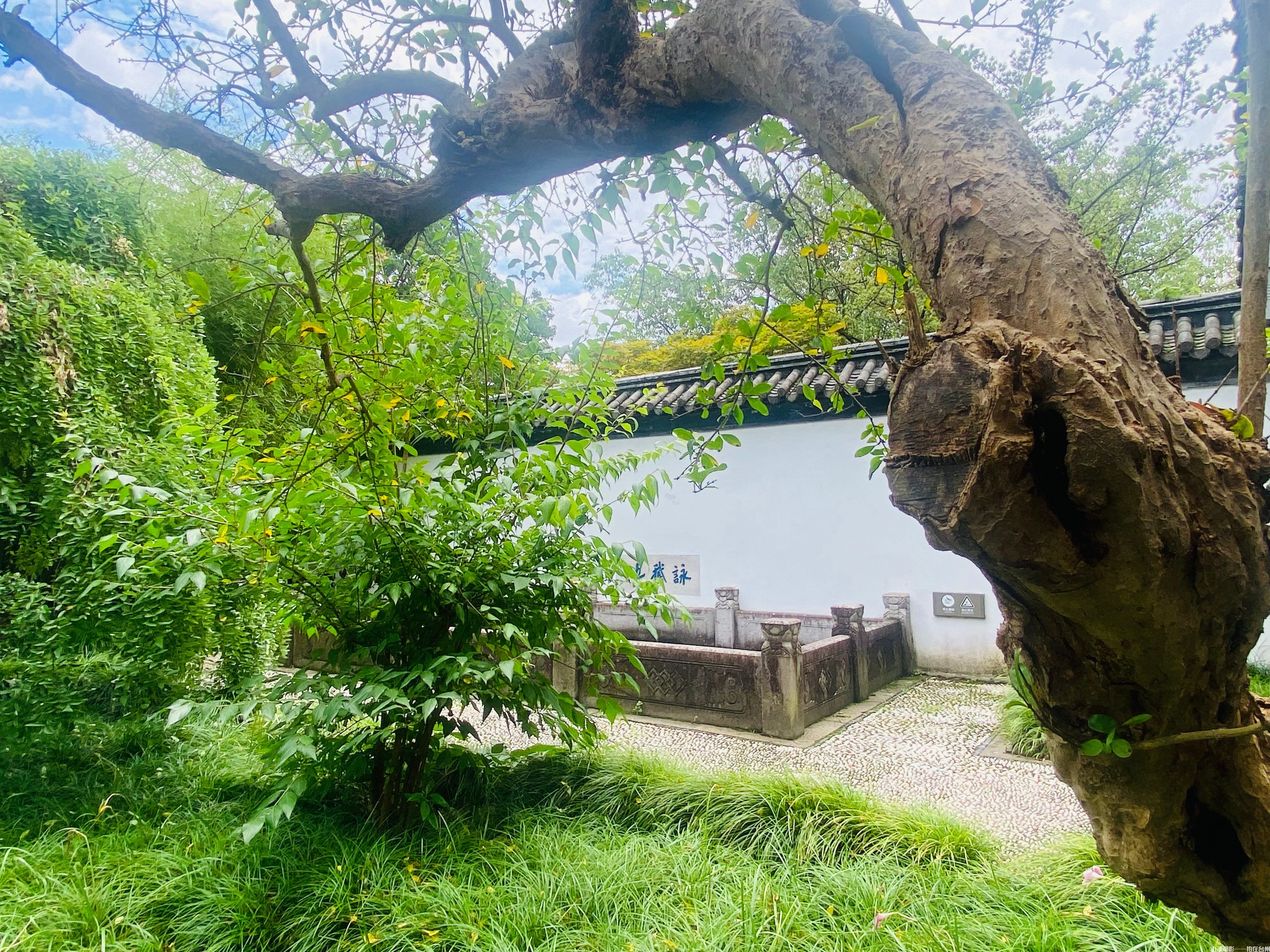 临海东湖：江南诗画境，园林光影梦工场(图24)