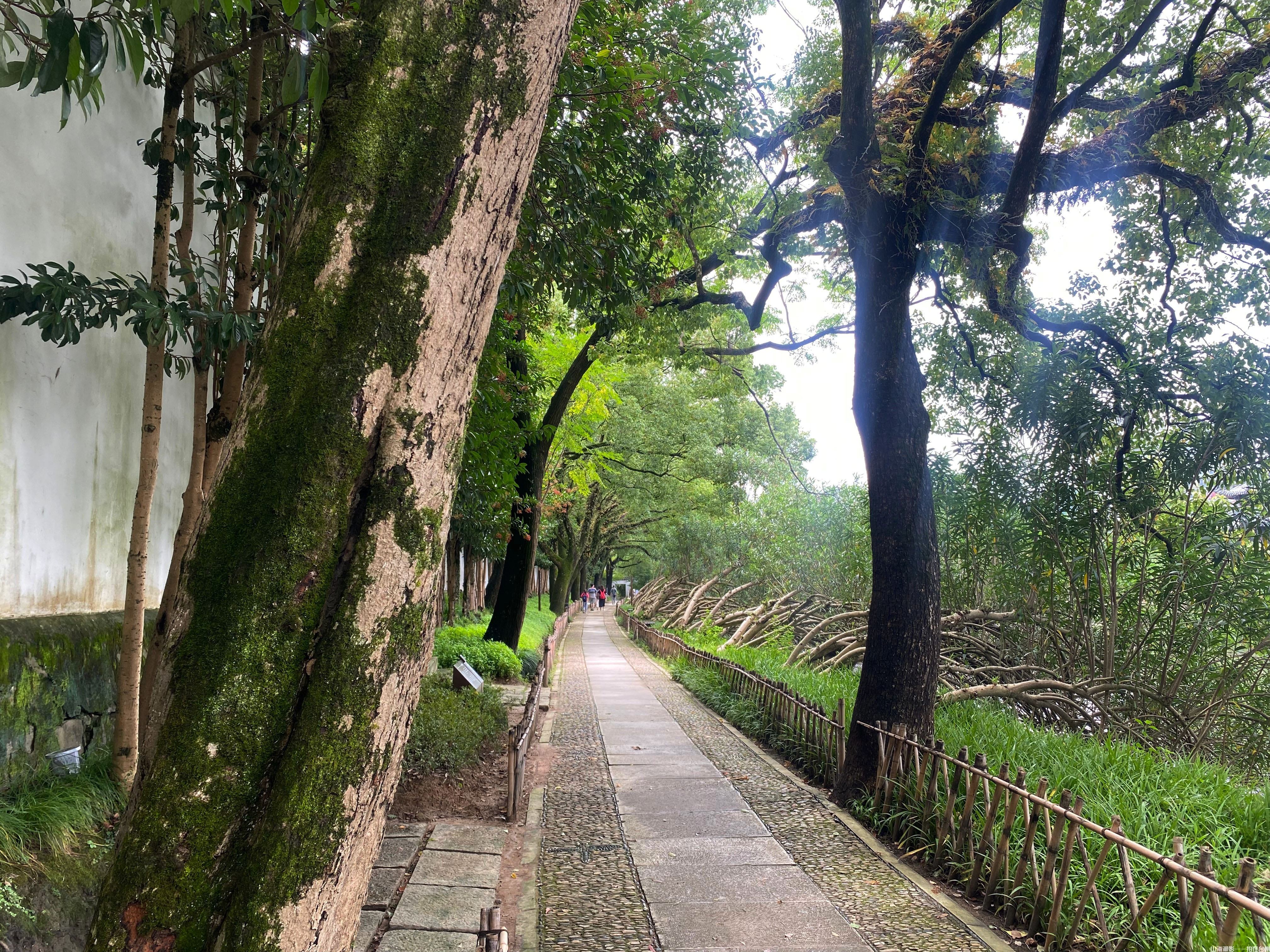 临海东湖：江南诗画境，园林光影梦工场(图29)