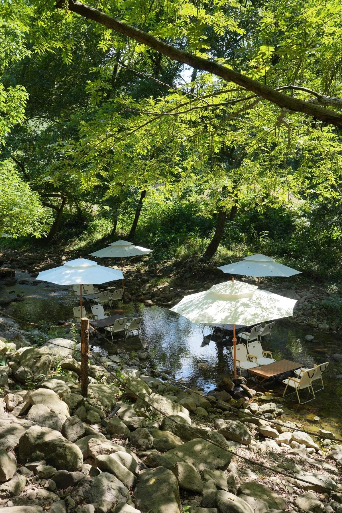 天台福溪千年松溪谷营地：隐于青山绿水的自然秘境，打造沉浸式山野叙事空间(图4)