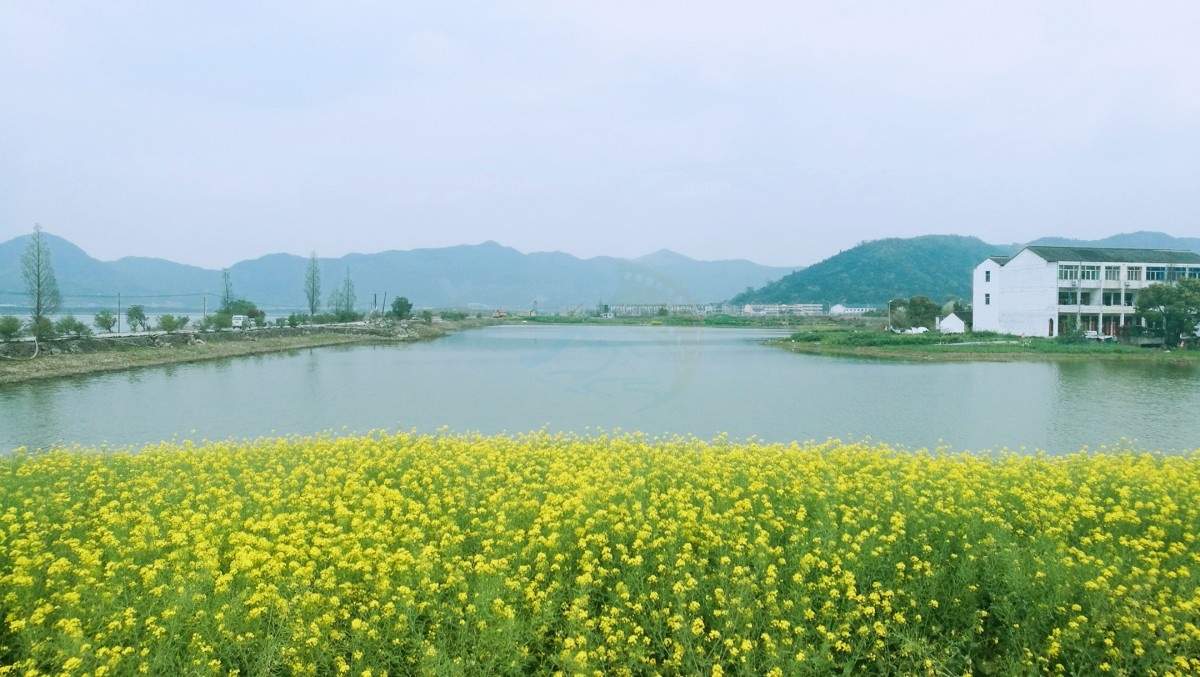 台州飞龙湖：一湖揽四季，一步一景皆戏感，影视剧组的外景优选！(图2)