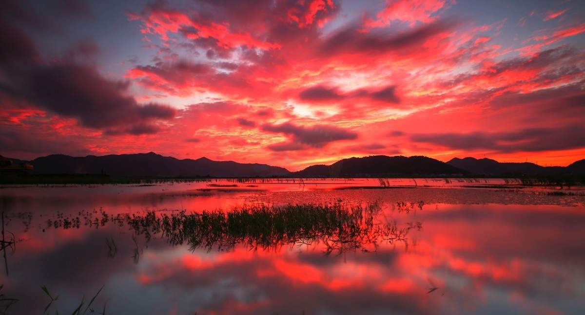 台州飞龙湖：一湖揽四季，一步一景皆戏感，影视剧组的外景优选！(图4)