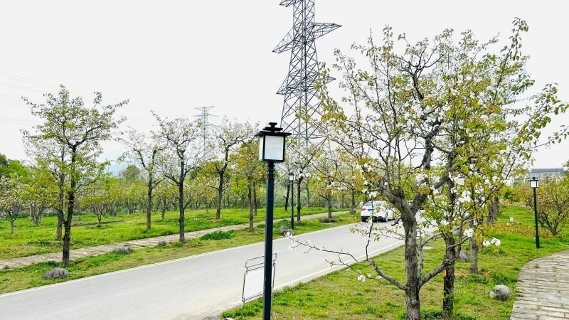 螺洋水滨村—乡村风情的影视外景宝藏(图6) 螺洋水滨村—乡村风情的影视外景宝藏(图6)