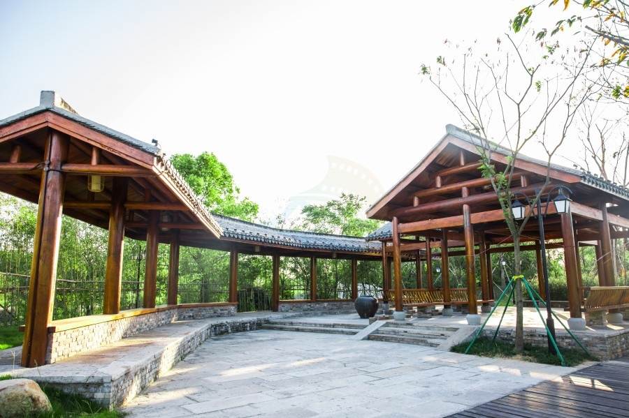 南浦湿地公园：台州路桥的江南水墨生态影棚(图10)