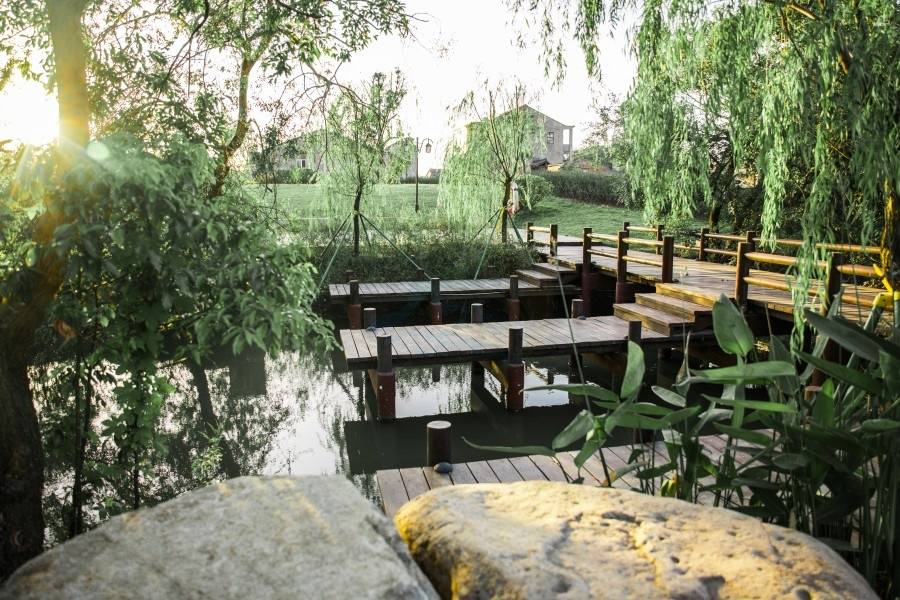 南浦湿地公园：台州路桥的江南水墨生态影棚(图6)