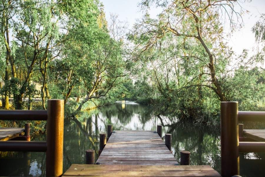 南浦湿地公园：台州路桥的江南水墨生态影棚(图8)