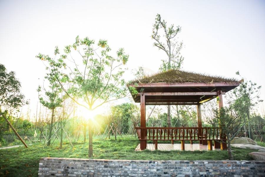 南浦湿地公园：台州路桥的江南水墨生态影棚(图4)