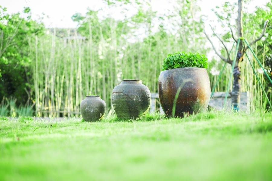 南浦湿地公园：台州路桥的江南水墨生态影棚(图2)