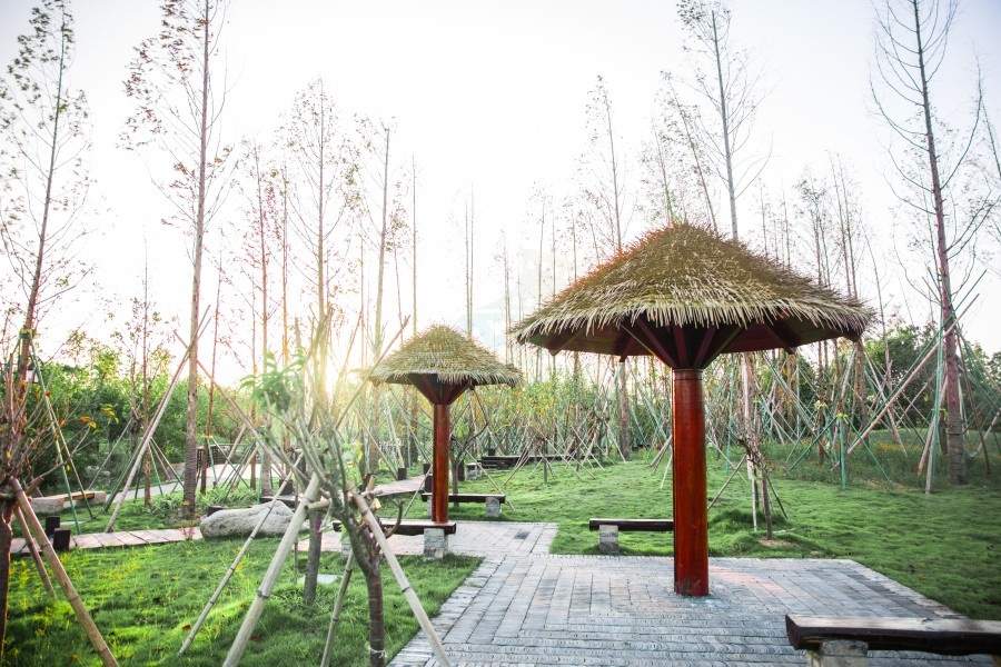 南浦湿地公园：台州路桥的江南水墨生态影棚(图1)