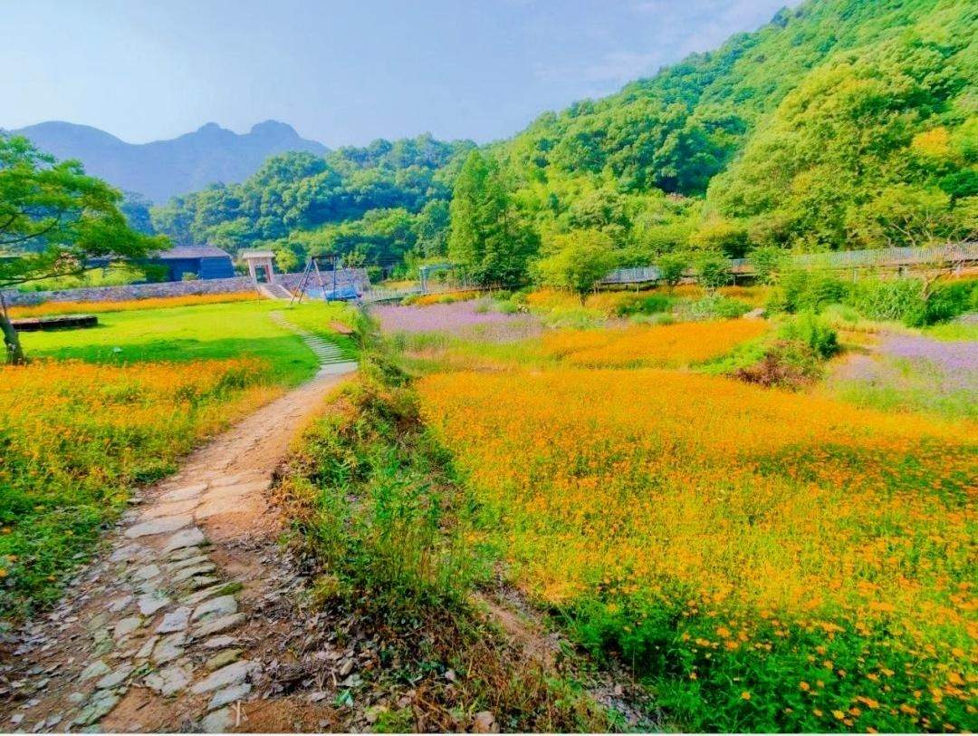 桐屿深处藏古道，凉溪幽径入镜来：台州影视外景新视界凉溪古道(图1)