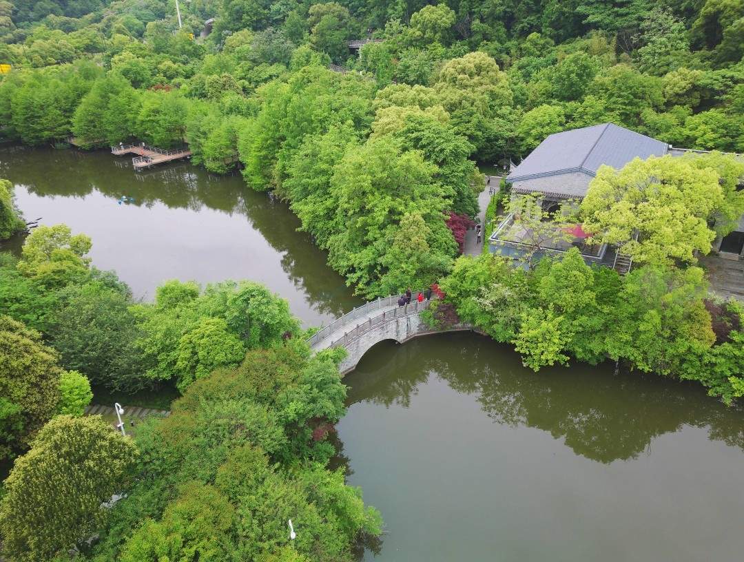 都市绿肺 光影画卷——路桥中央山公园一期影视外景地探秘(图5)