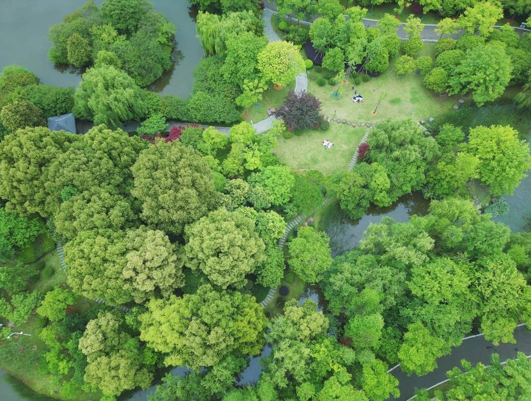 都市绿肺 光影画卷——路桥中央山公园一期影视外景地探秘(图4)