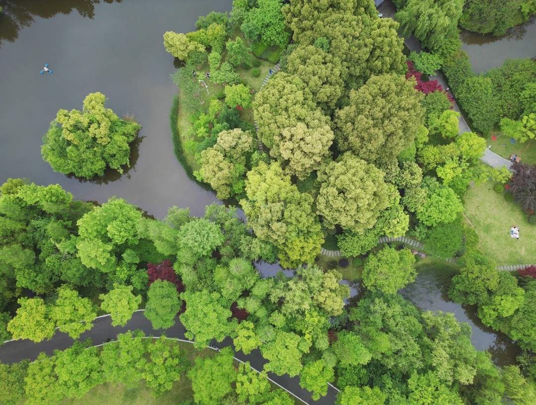 都市绿肺 光影画卷——路桥中央山公园一期影视外景地探秘(图3)