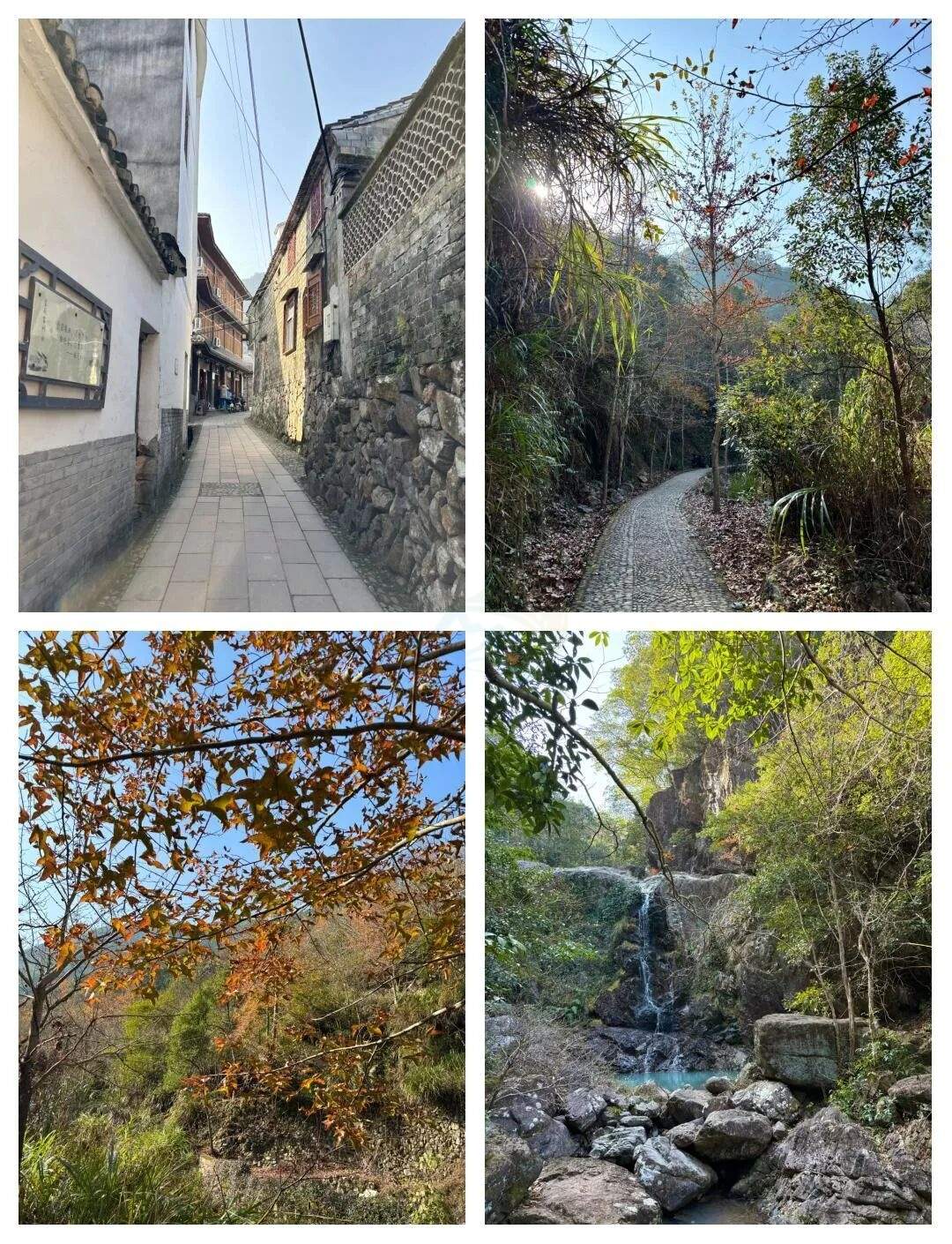 天台南黄古道:千年商贸道上的枫火传奇 —— 浙东 “活态历史长廊”,影视镜头里的 “行旅名场面制造机”(图4) 天台南黄古道:千年商贸道上的枫火传奇 —— 浙东 “活态历史长廊”,影视镜头里的 “行旅名场面制造机”(图4)