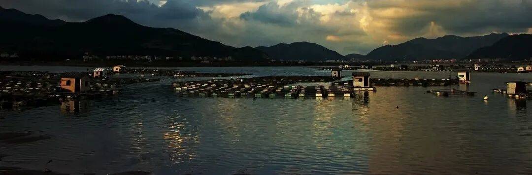 温岭坞根东门头村:蓝海褶皱里的“渔火影视叙事场”(图4) 温岭坞根东门头村:蓝海褶皱里的“渔火影视叙事场”(图4)