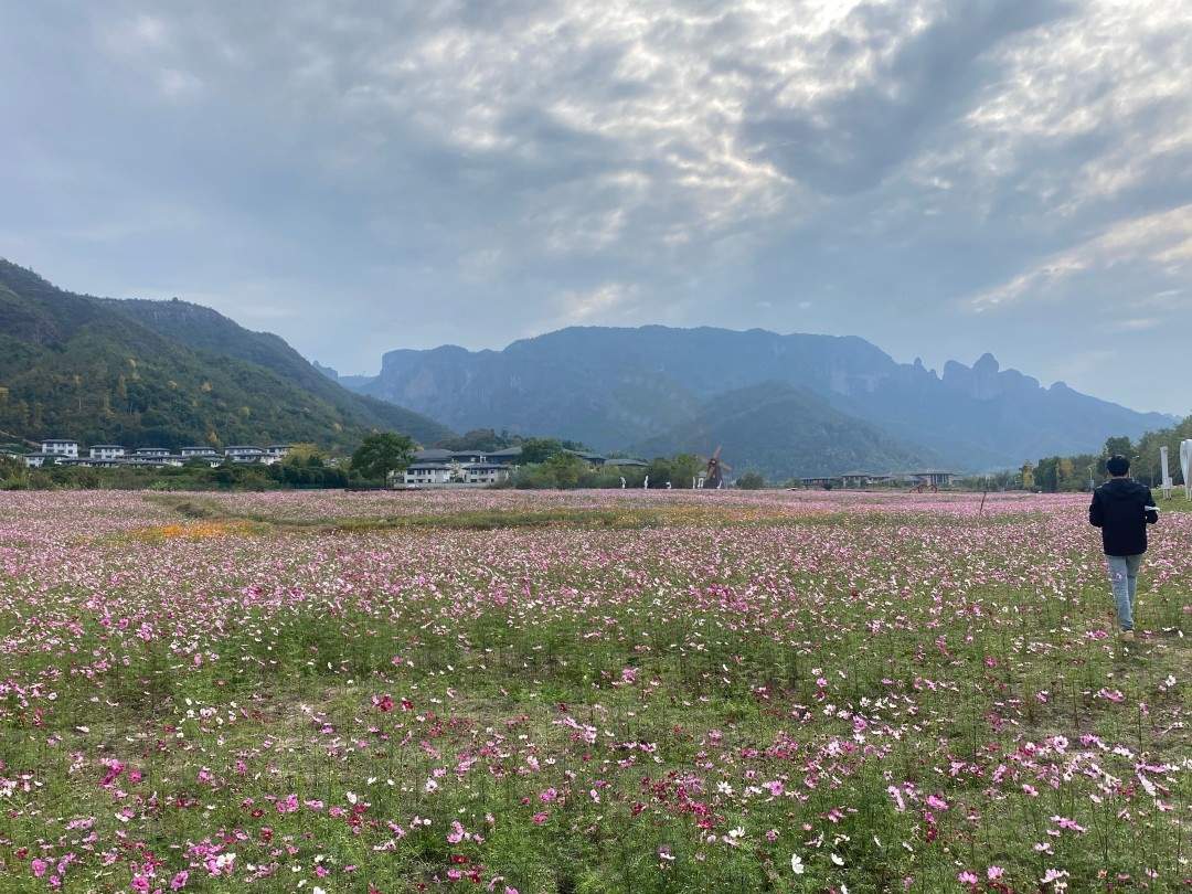 仙居神仙居游客中心：山水灵韵与建筑美学交织的影视外景新坐标(图2)