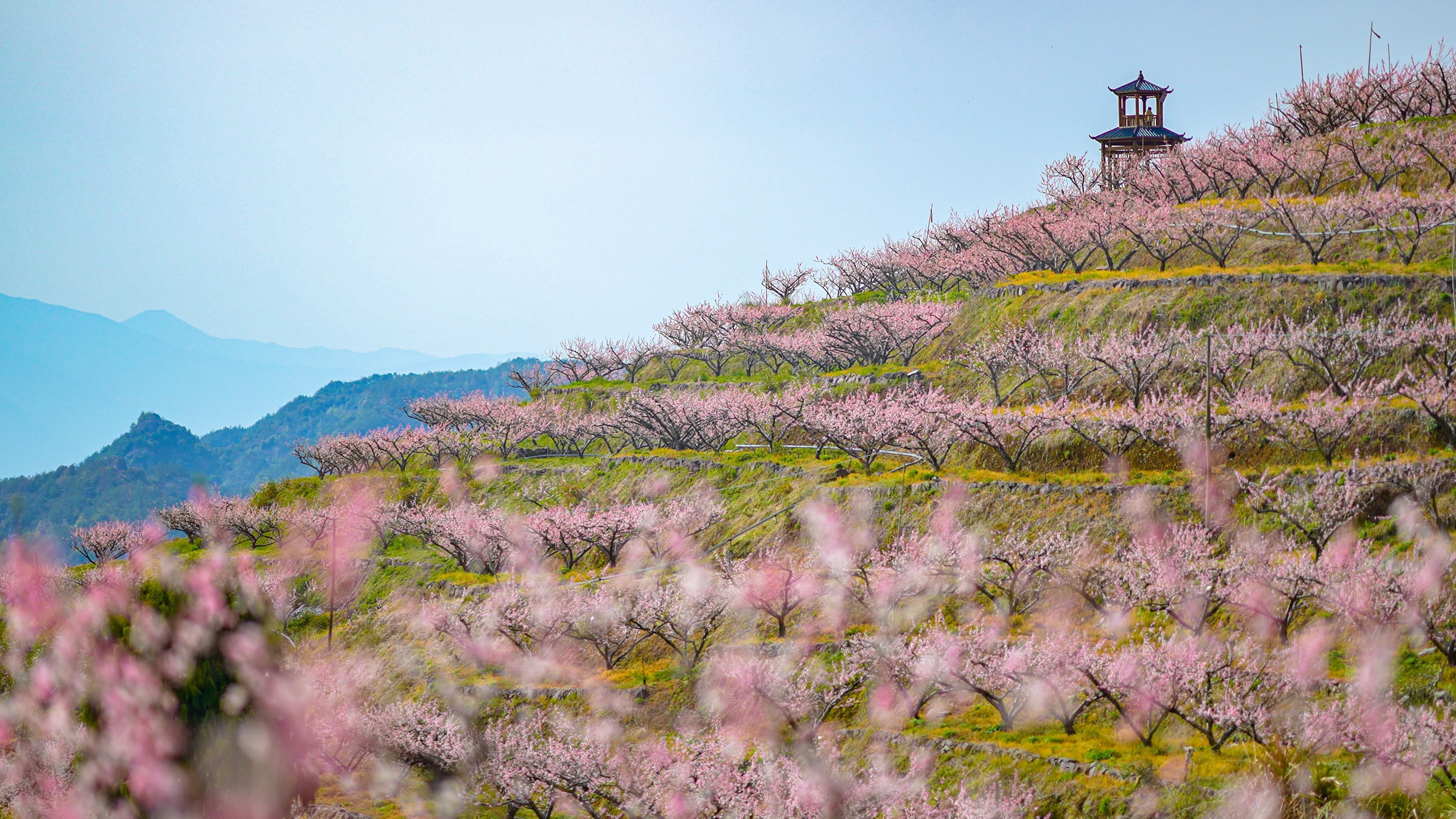 云端桃源入镜来：仙居对山村的四季光影诗(图5)