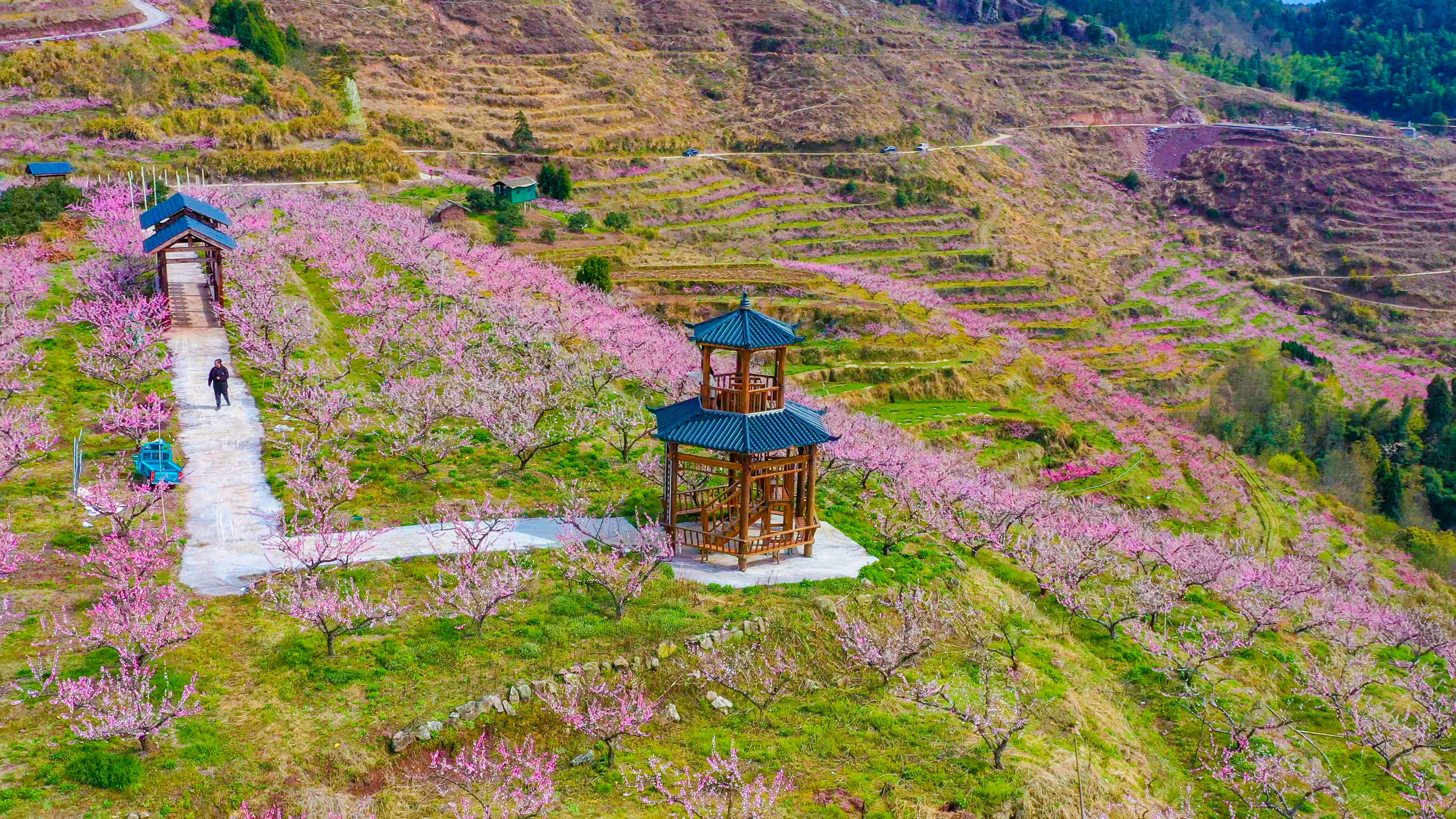 云端桃源入镜来：仙居对山村的四季光影诗(图1)