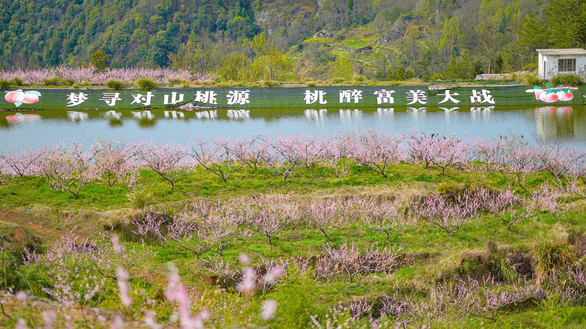 云端桃源入镜来：仙居对山村的四季光影诗(图2)