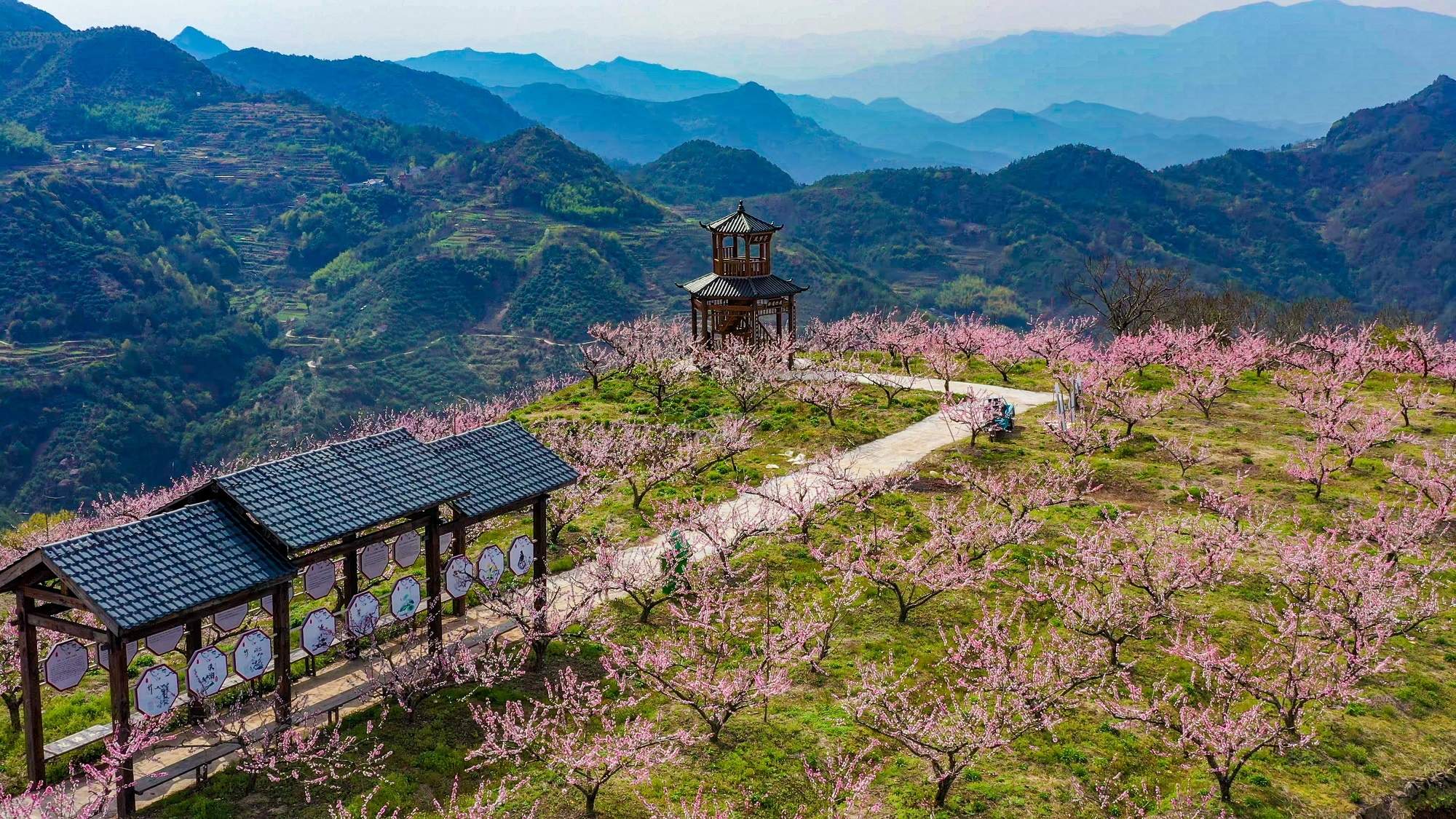 云端桃源入镜来：仙居对山村的四季光影诗(图3)