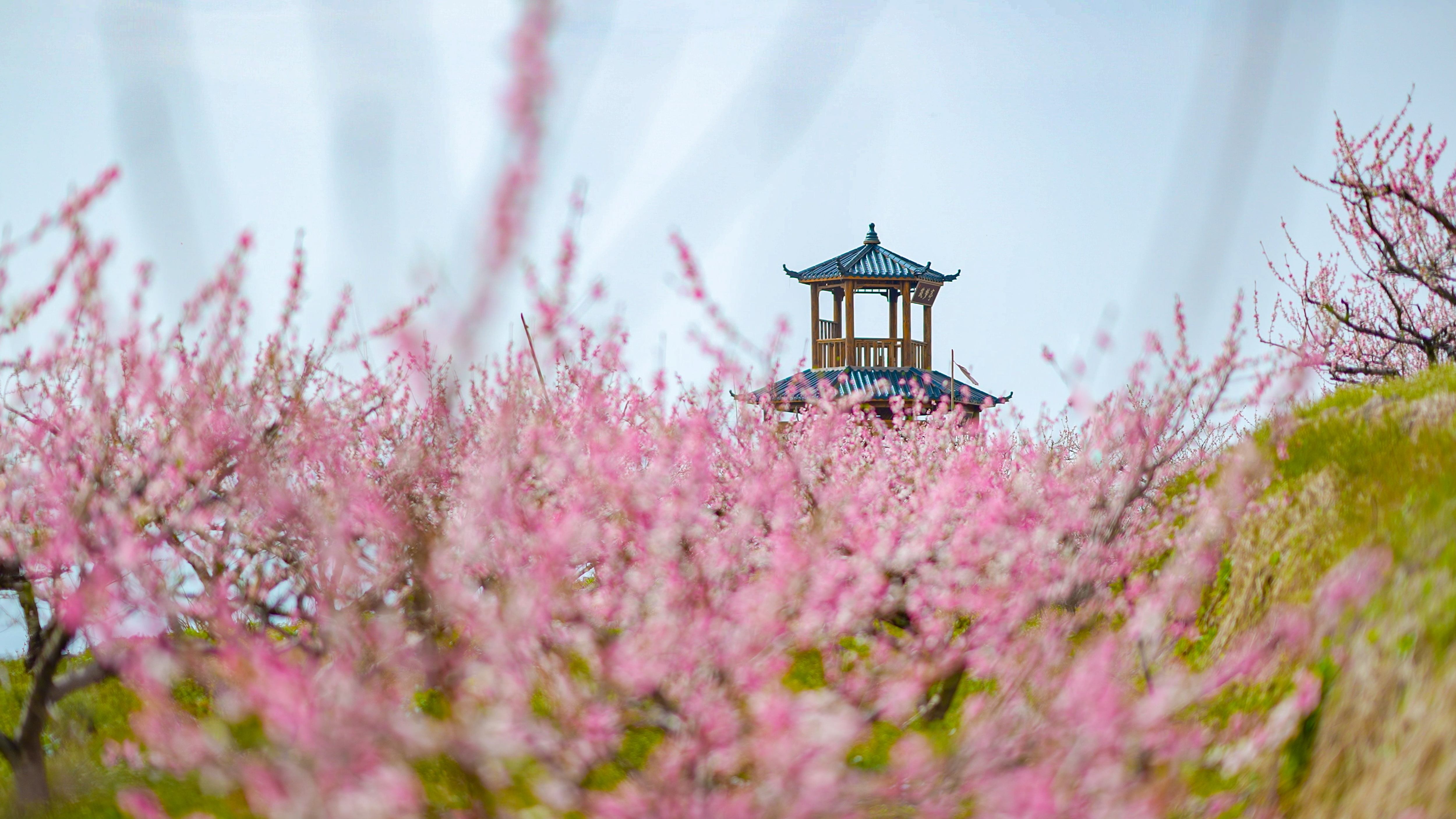 云端桃源入镜来：仙居对山村的四季光影诗(图4)