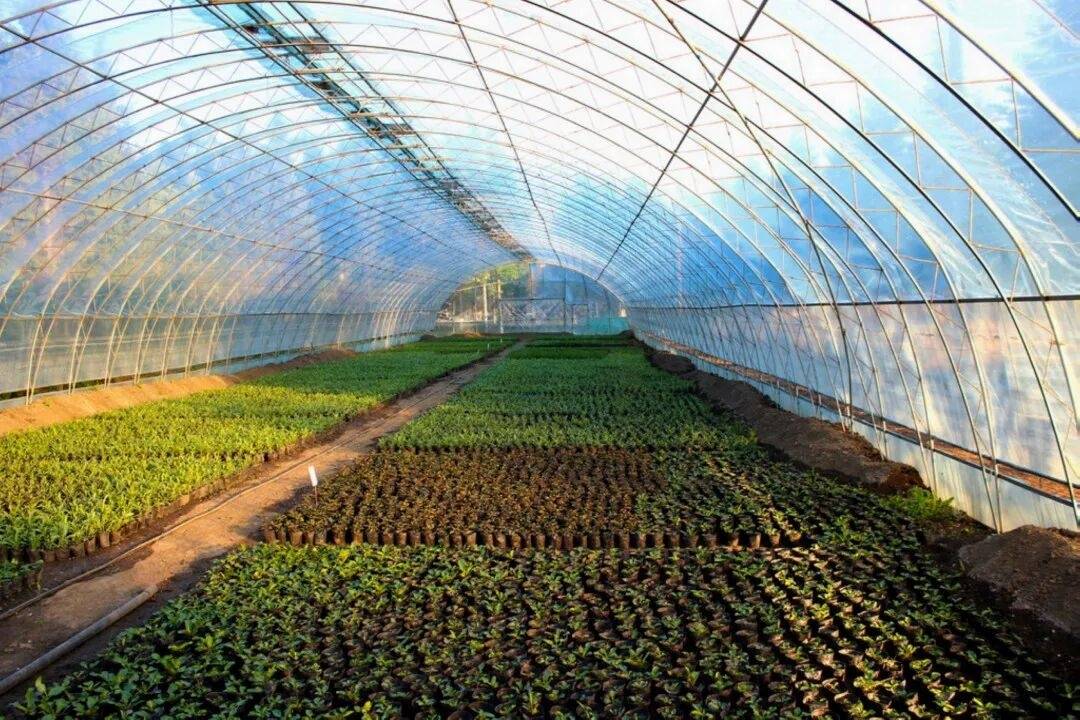 海亮教育仙居研学园,解锁影视“新农景”(图3) 海亮教育仙居研学园,解锁影视“新农景”(图3)