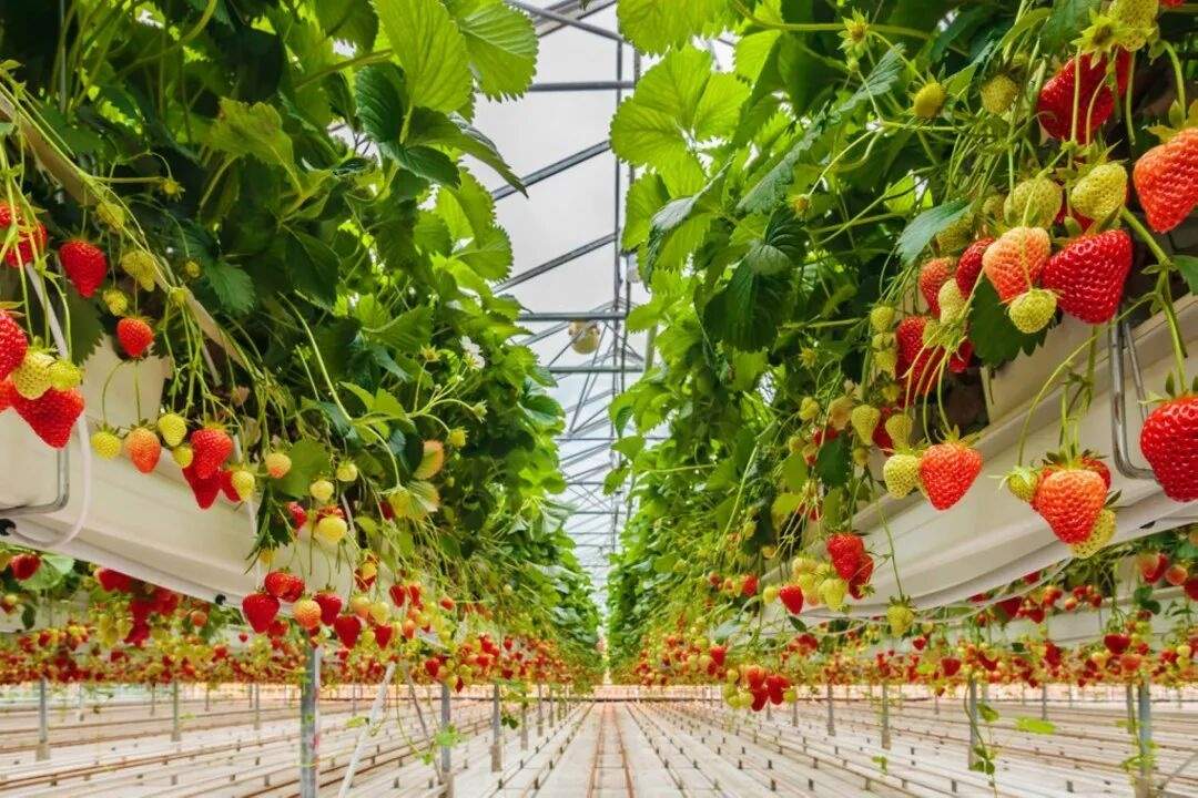 海亮教育仙居研学园,解锁影视“新农景”(图1) 海亮教育仙居研学园,解锁影视“新农景”(图1)