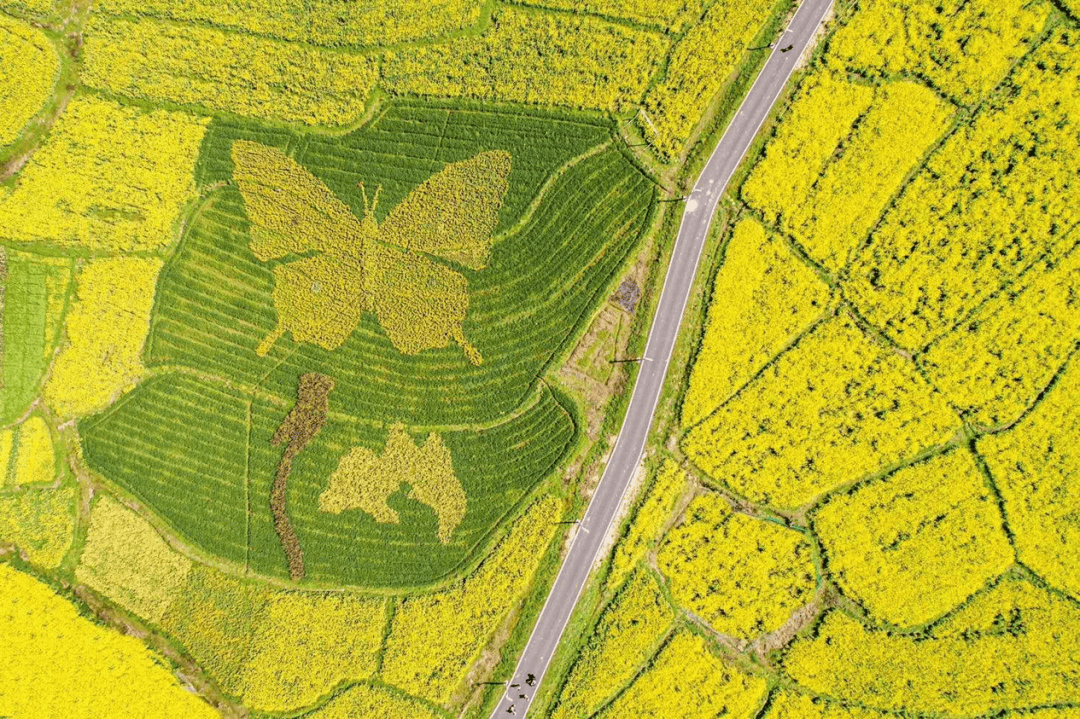 海亮教育仙居研学园,解锁影视“新农景”(图4) 海亮教育仙居研学园,解锁影视“新农景”(图4)