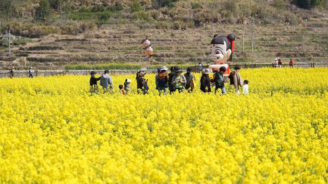海亮教育仙居研学园,解锁影视“新农景”(图5) 海亮教育仙居研学园,解锁影视“新农景”(图5)