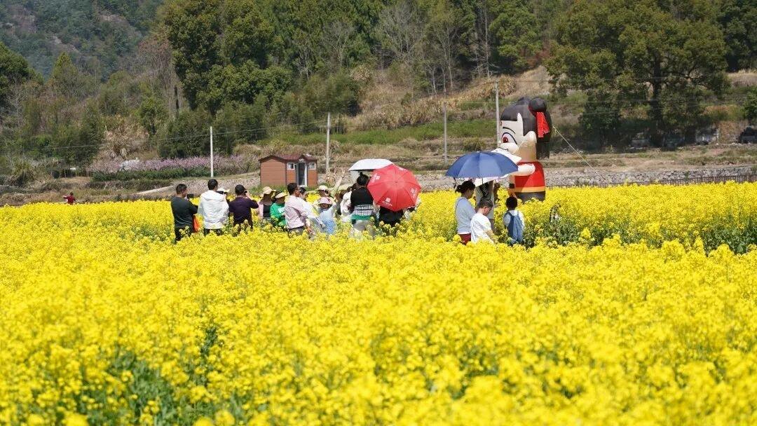 海亮教育仙居研学园,解锁影视“新农景”(图6) 海亮教育仙居研学园,解锁影视“新农景”(图6)
