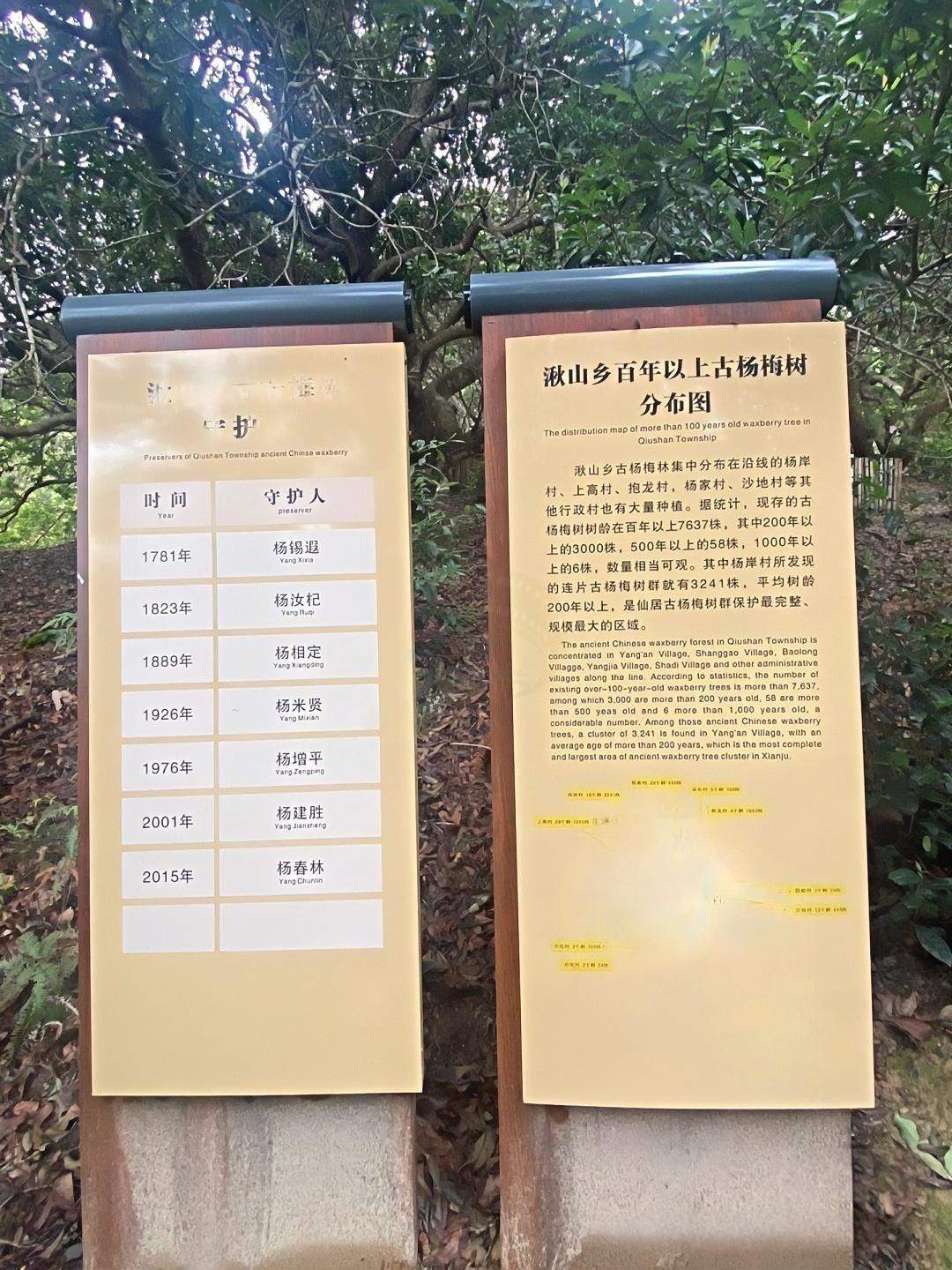 仙居杨岸村古梅酒窑:百年酒窖里的“时光酿酒场”(图3) 仙居杨岸村古梅酒窑:百年酒窖里的“时光酿酒场”(图3)