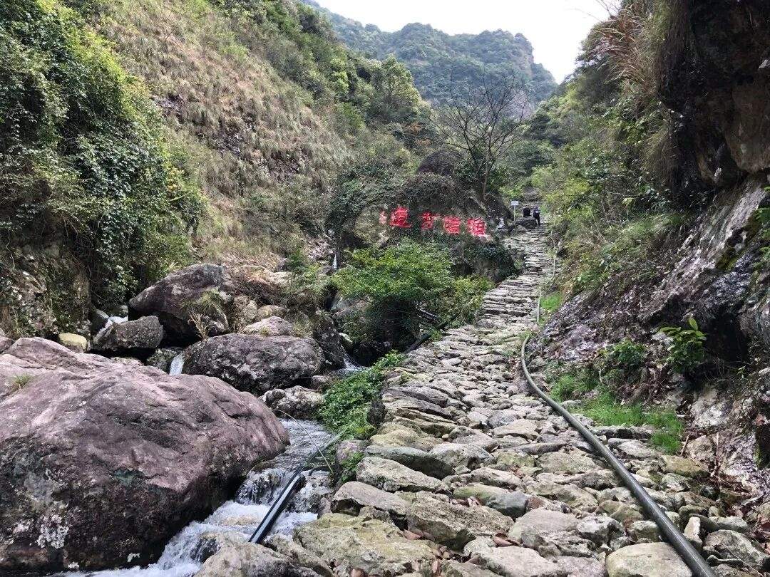 三门龙母山:山海褶皱里的“视听秘境”(图2) 三门龙母山:山海褶皱里的“视听秘境”(图2)