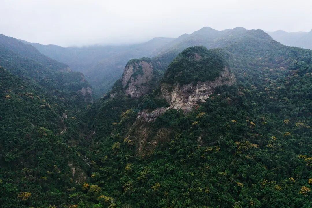 三门龙母山:山海褶皱里的“视听秘境”(图4) 三门龙母山:山海褶皱里的“视听秘境”(图4)