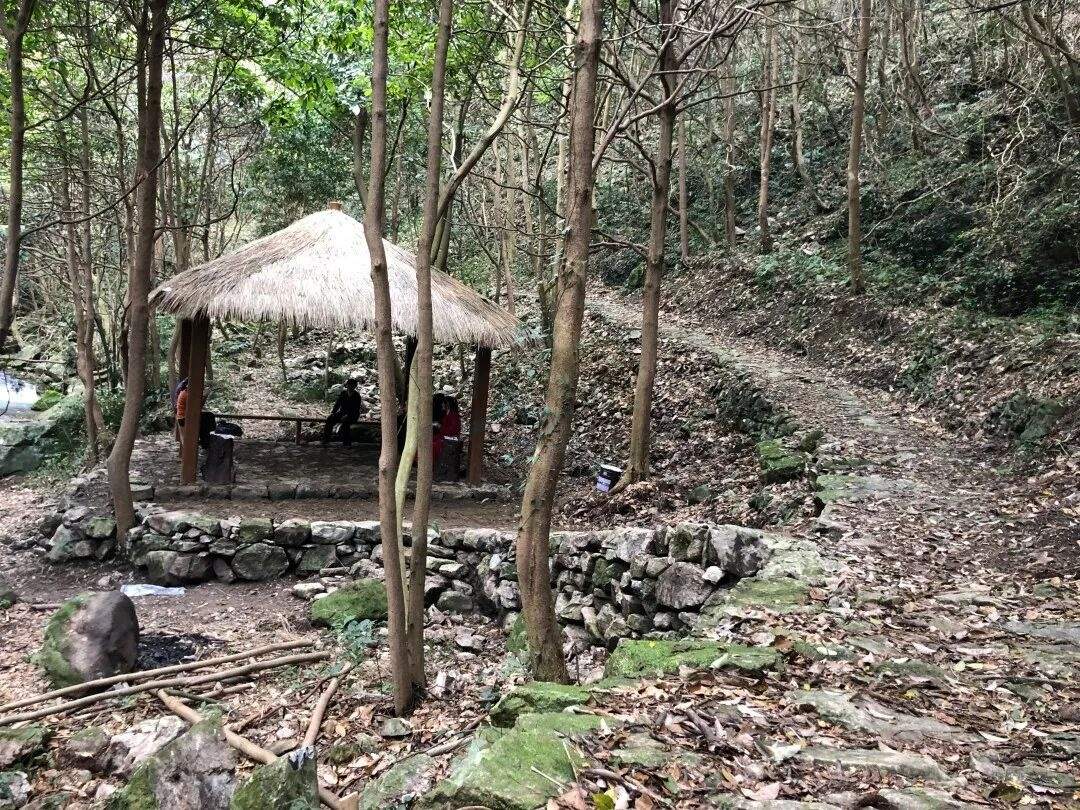 三门龙母山:山海褶皱里的“视听秘境”(图5) 三门龙母山:山海褶皱里的“视听秘境”(图5)