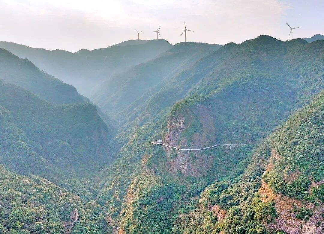 三门龙母山:山海褶皱里的“视听秘境”(图6) 三门龙母山:山海褶皱里的“视听秘境”(图6)