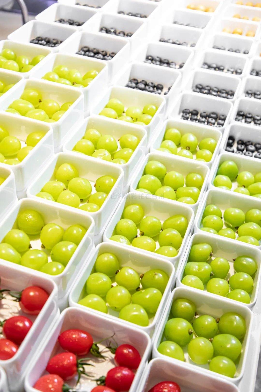 台州影视外景｜椒江海门水墨兰亭休闲中心：中式休闲场景的优质取景地(图13)