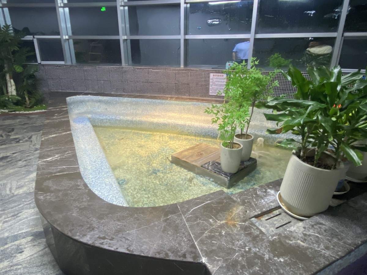 台州影视外景｜椒江海门水墨兰亭休闲中心：中式休闲场景的优质取景地(图63)