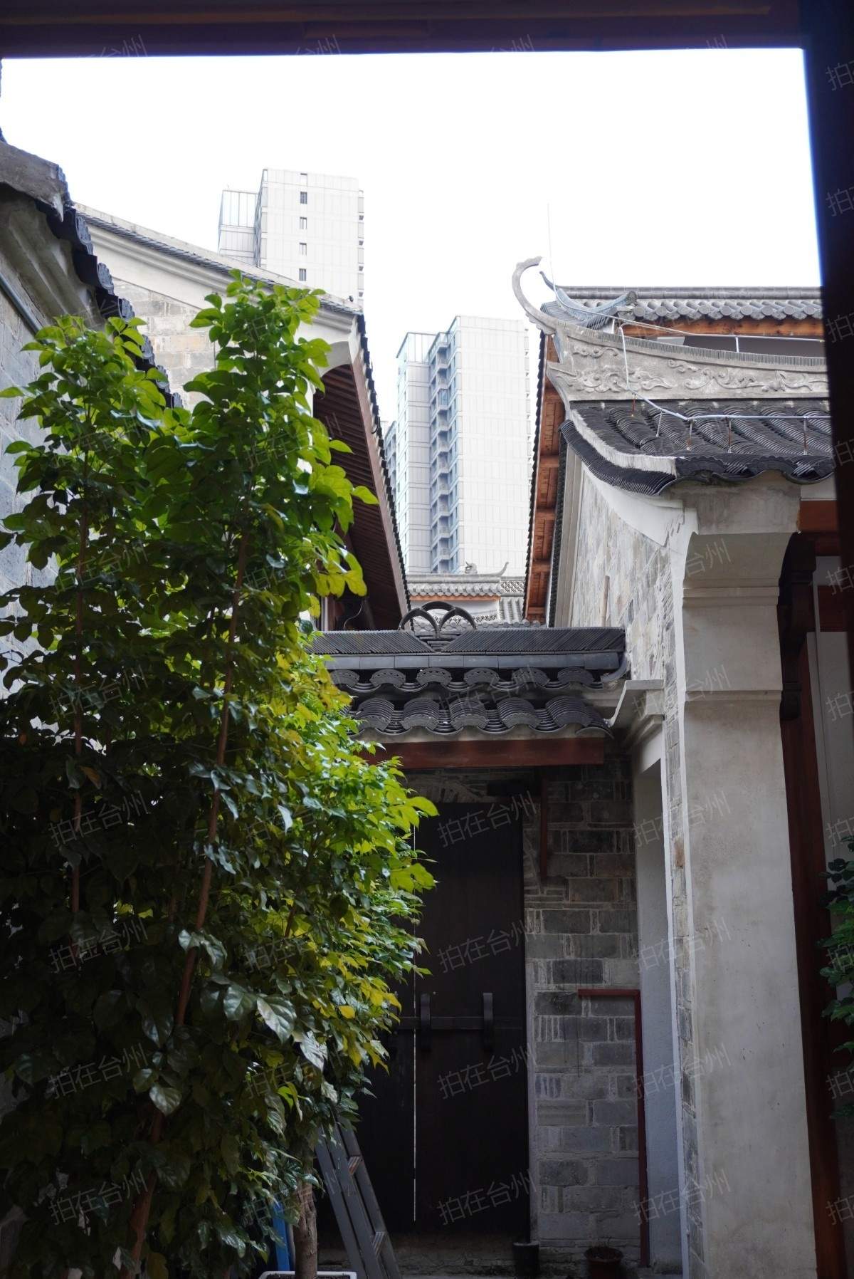 椒江葭沚老街：市井烟火里的网剧微短剧场景宝库(图137)