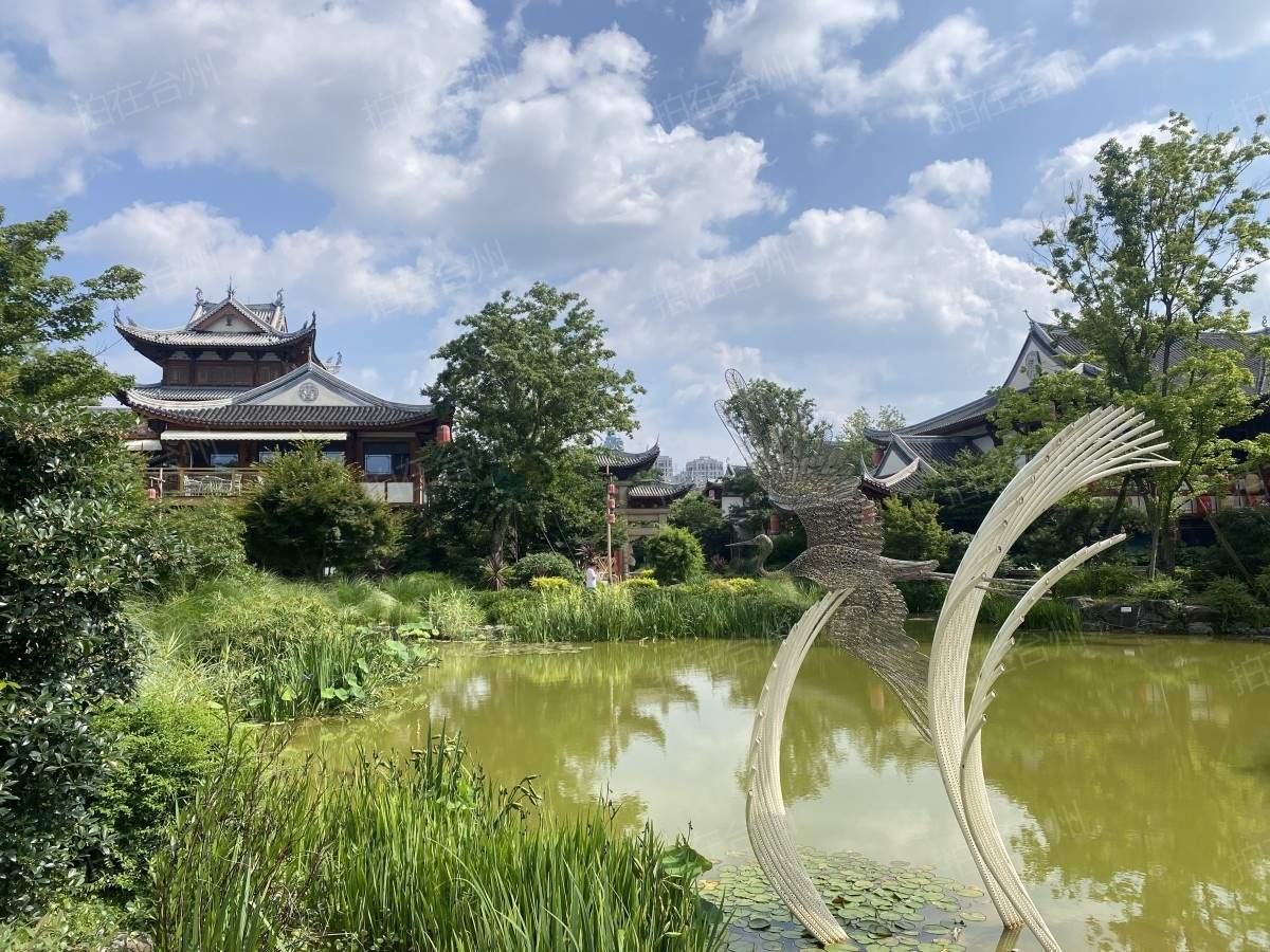 椒江葭沚老街：市井烟火里的网剧微短剧场景宝库(图216)