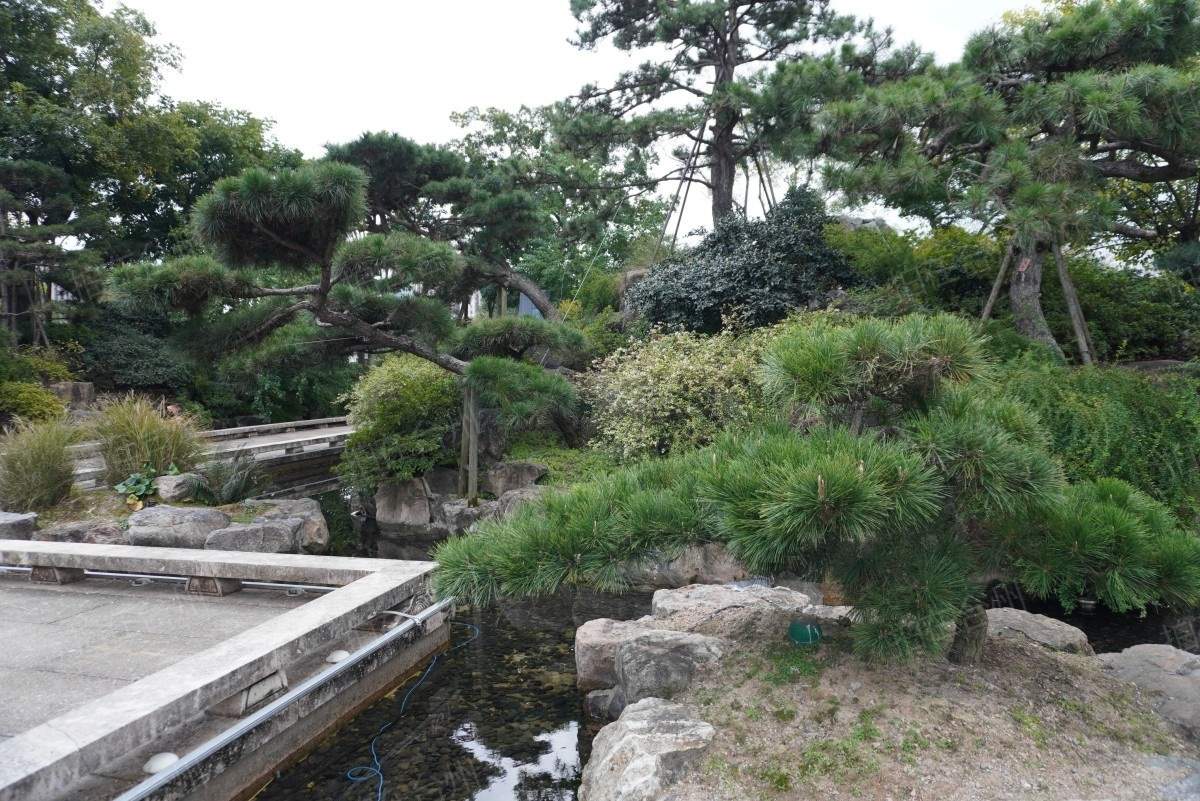 椒江葭沚老街：市井烟火里的网剧微短剧场景宝库(图101)