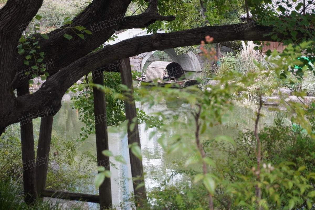 椒江葭沚老街：市井烟火里的网剧微短剧场景宝库(图89)