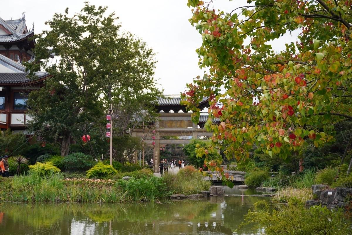 椒江葭沚老街：市井烟火里的网剧微短剧场景宝库(图91)