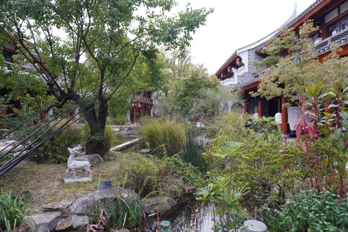 椒江葭沚老街：市井烟火里的网剧微短剧场景宝库(图59)