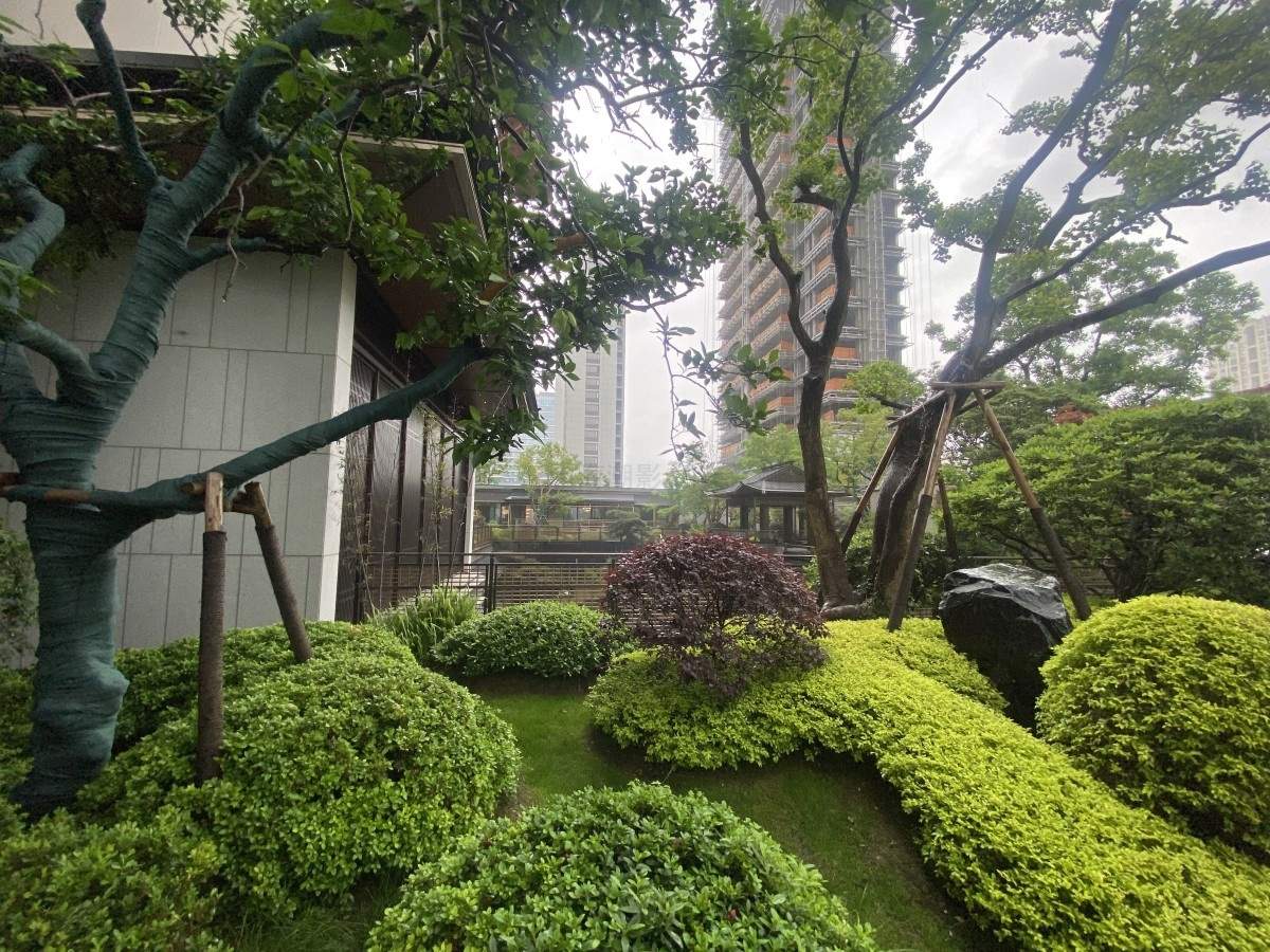 台州椒江这个新中式房产项目，藏着网剧的豪华场景建发璞云“新中式会所＋豪华大平层”(图35)